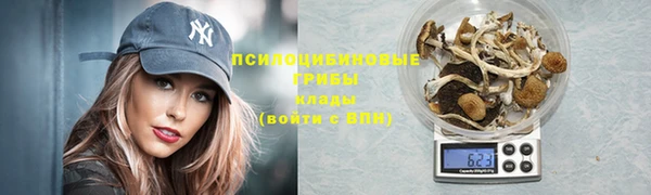 тгк Заволжск