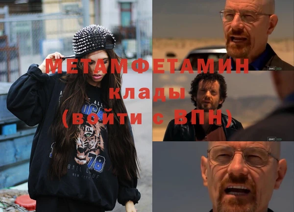 индика Ельня